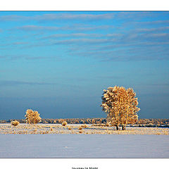 фото "Journey in Night"