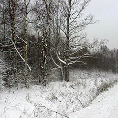 фото "Зимняя сказка."