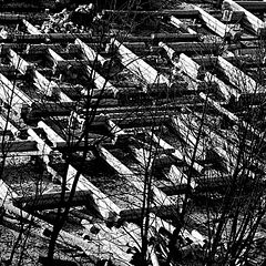 фото "Здесь будет город сад."