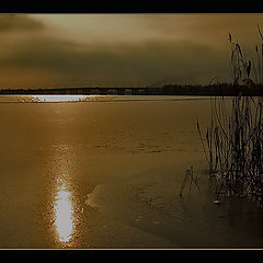 photo "in bronze #3  `` between the sky and... water``"