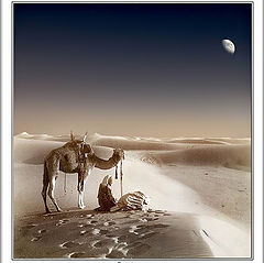 photo "Desert"