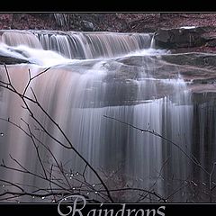 photo "Raindrops"