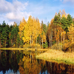 фото "зеркало души"