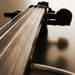 photo "Tired violin"