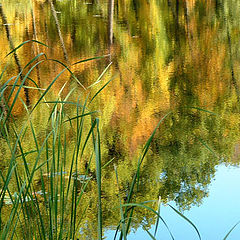 photo "Aqua Painting"