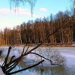 фото "Январь 2005 или демо-версия весны."