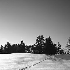 фото "Свет и тень (2)"