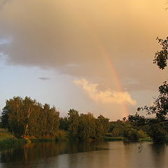 photo "Rainbow in the summer"