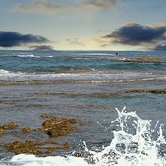 photo "Lonely in the sea"