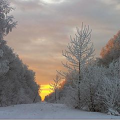 photo "Winter temporary road"