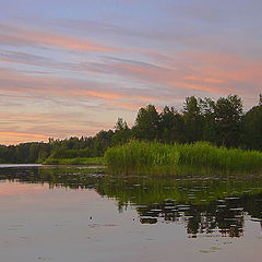 фото "Летний вечер (2)"