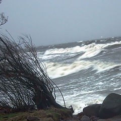 photo "January storm. An attack"