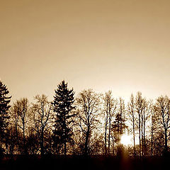 photo "Sepia and sunset silhouettes"