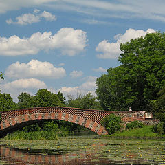 фото "Wilanow Park / Warsaw /"