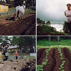 фото "Повседневная жисть."