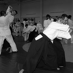 photo "Fine dances aikido."