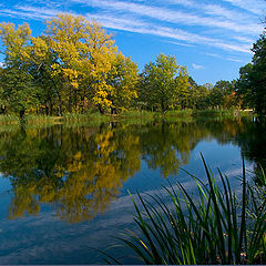 фото "autumn"