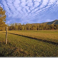 photo "Country road"