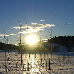 photo "Winter mood II"