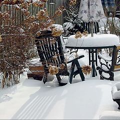 фото "Backyard winter"