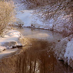 photo "On a decline of frosty day"