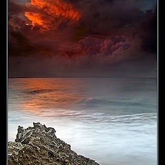 photo "The Fire in the Sky"
