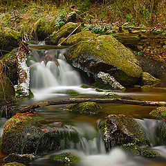 фото "water fall(s)"