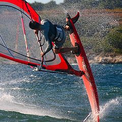 фото "windsurf"