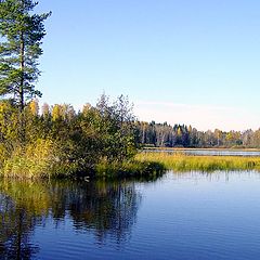 фото "Осенний день  (4)"