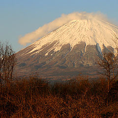 фото "Obuchi"