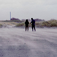 фото "Sand storm"