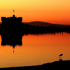 photo "The Sentinel"