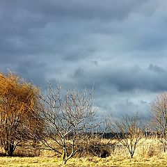 photo "The middle of winter"