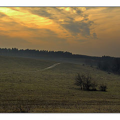 фото "зима 2005 #2"