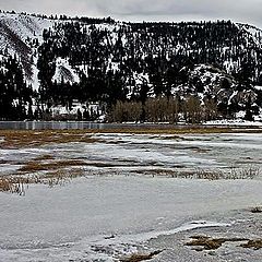 фото "Walk on ice"