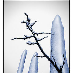 photo "leprosies of mother-winter"