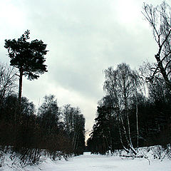 фото "Снежный канал"