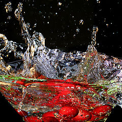 photo "Cranberry Splash!"
