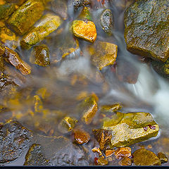 фото "water flow(s)"