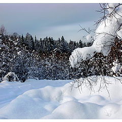 photo "Breath of a snow"