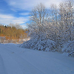 photo "A WInter Way"