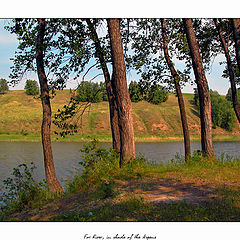 photo "For River, in shade of the Aspens"