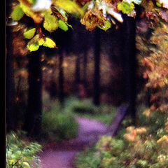 photo "Path in dream.. Autumn.. Left.. Last..."