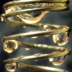 photo "Gold Droplets"