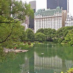 photo "Central Park. A New York Summer Day !"