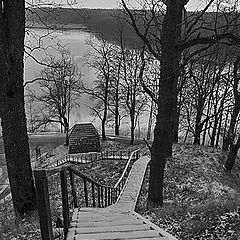 фото "Snowy stairs"