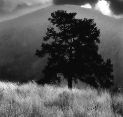 фото "Big Bend Nat. Park"