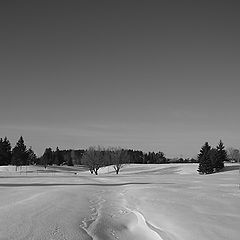 фото "Свет и тень (5)"