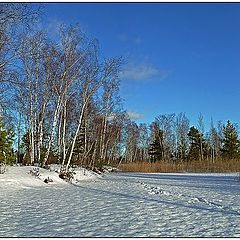 фото "Январская панорама"