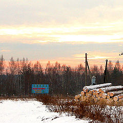 фото "Лесной питомник....(по русски.)"